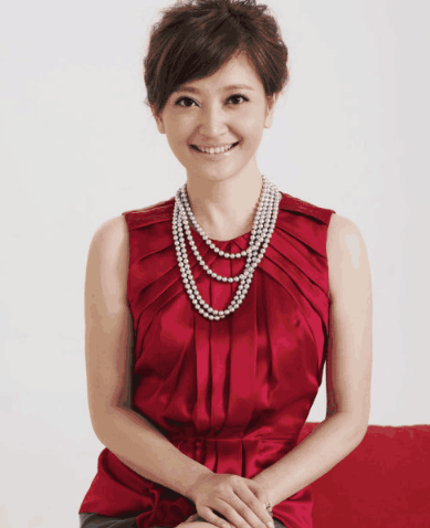 央视最漂亮的女主持人——璀璨星辰下的优雅使者,央视最漂亮女主持人,璀璨星辰下的优雅领航者