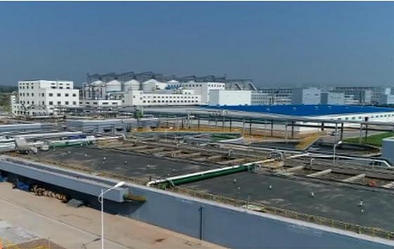 新奥六开彩资料2025,探索与前瞻,新奥六开彩资料2025,深度探索与未来前瞻