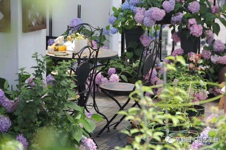 日本心神战斗机在2021年的发展与影响,日本心神战斗机2021年发展及其影响