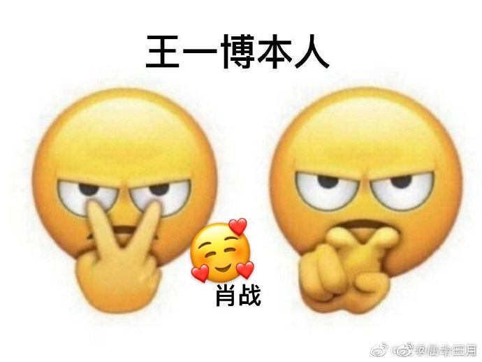 一肖不像必中,探索真理之路的不确定性与必然性,探索真理之路,不确定性与必然性的交织——一肖不像必中