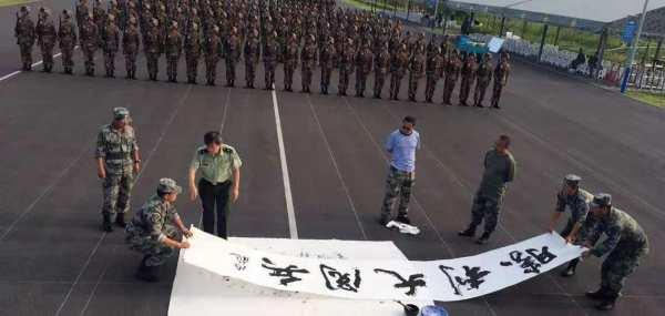 胜利阅兵与电影视频,一场视听盛宴的完美结合,胜利阅兵与电影视频,视听盛宴的震撼结合