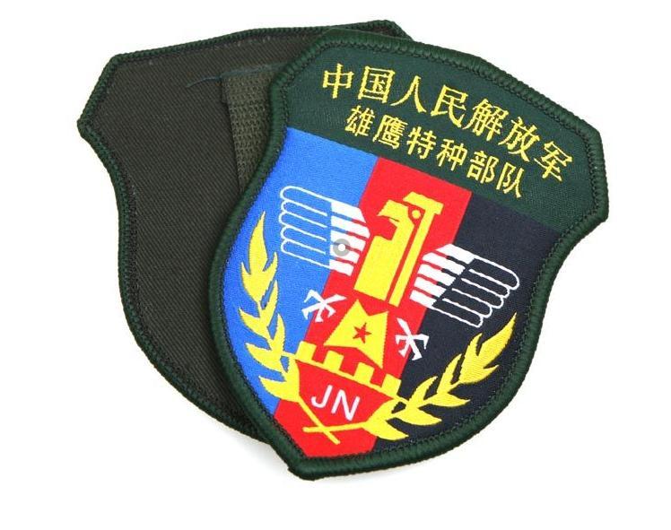 蛟龙突击队臂章介绍,荣耀与使命的象征,蛟龙突击队臂章,荣耀与使命的标志介绍