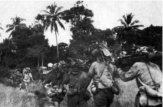 海南岛登陆战役图片,历史的见证与回忆,海南岛战役图片,历史的见证与回忆