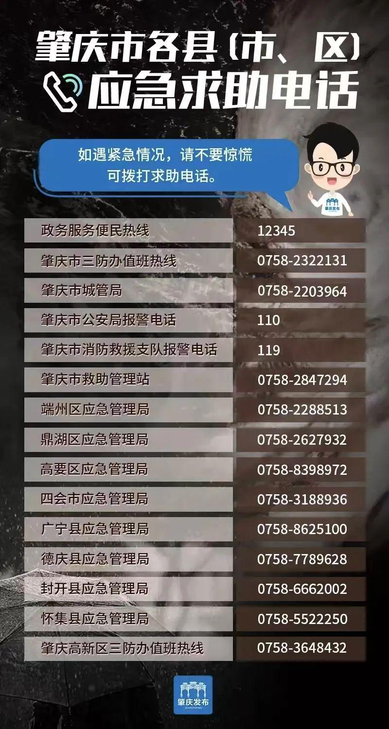 中央老百姓求助热线电话，连接民心，实现和谐社会的桥梁，中央老百姓求助热线电话，民心桥梁，和谐社会连接线