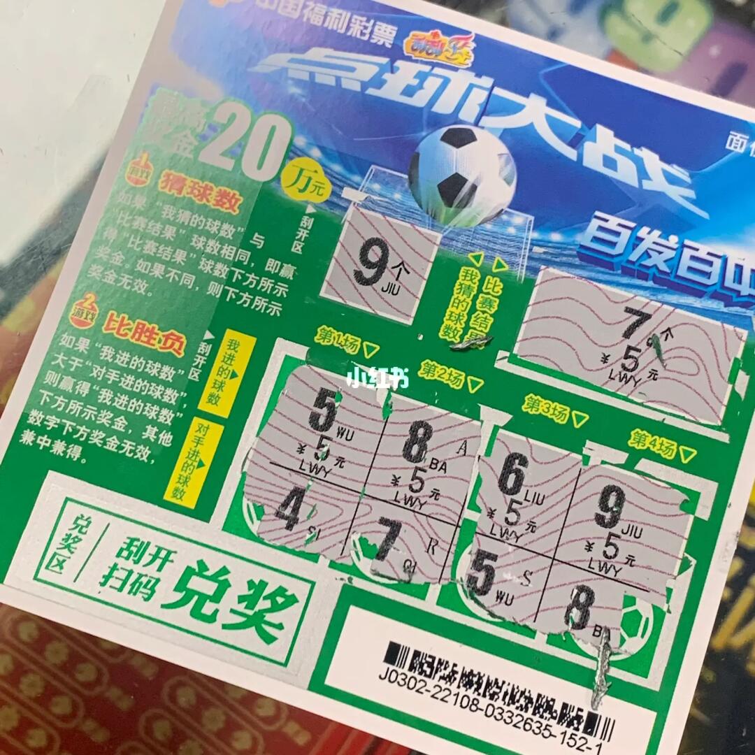 王中王六肖必中一期，揭秘精准预测的魅力，揭秘王中王六肖精准预测的魅力，一期必中传奇！