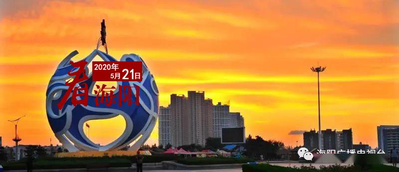 海宁今天发生的重大新闻,海宁今日重大新闻速递