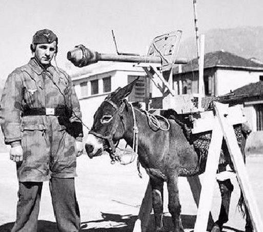 二战时期最奇葩的武器,二战时期最离奇武器揭秘