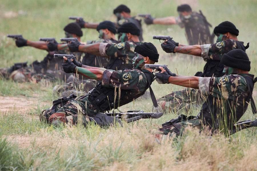 中国特种部队排名第一的是谁,深入解析中国特种部队的实力与荣耀,中国特种部队实力与荣耀深度解析,谁是排名第一的佼佼者?