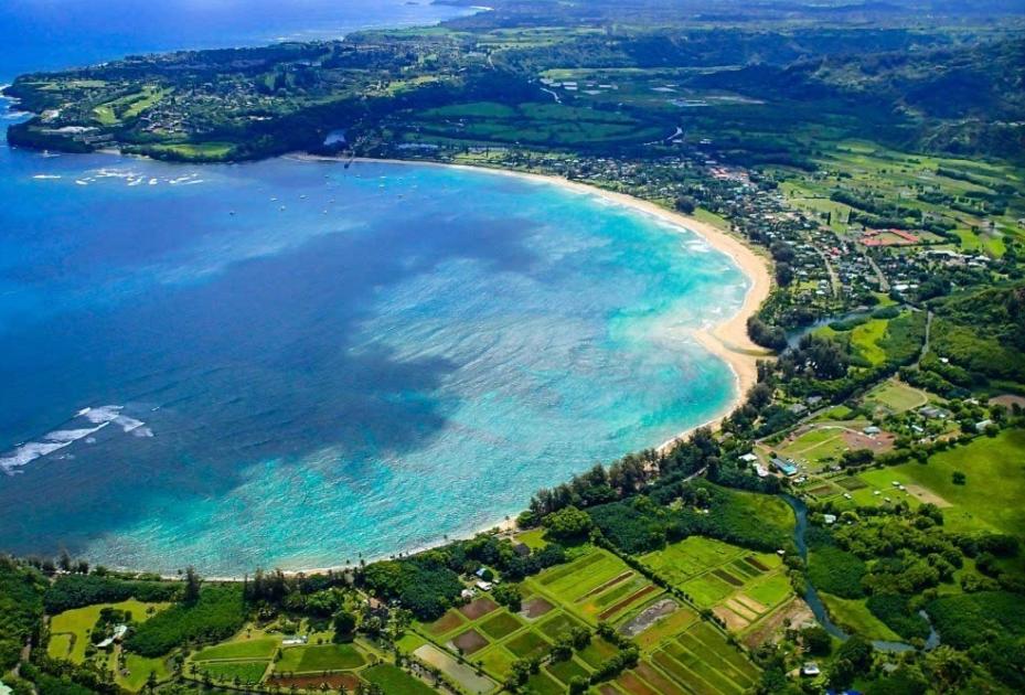 飞机坠毁最新官方消息，全面解读事故原因与救援进展，飞机坠毁最新官方通报，事故原因解析与救援进展全面追踪