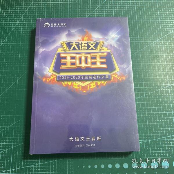 王中王资料2019一肖，深度解析与预测，王中王资料2019一肖深度解析与预测报告