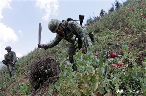 今日最新国内军事新闻——我国国防实力稳步提升，今日国内军事新闻速递，国防实力稳步提升