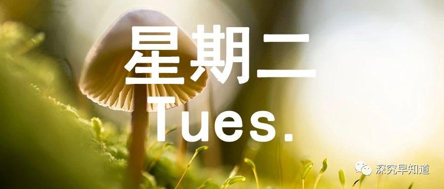 国际时事新闻简报，全球动态一周综述，全球一周动态回顾，国际时事新闻简报综述