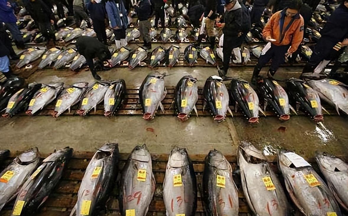 为什么中国人都希望俄罗斯赢?,中俄友好背后的深层原因,为何中国人希望俄罗斯赢?