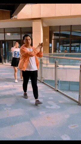 正规军与野战军的区别，正规军与野战军，差异解析