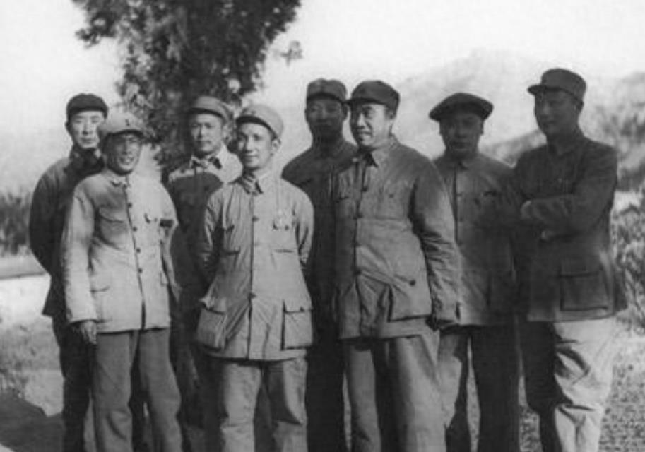 正规军与野战军的区别,正规军与野战军,差异解析