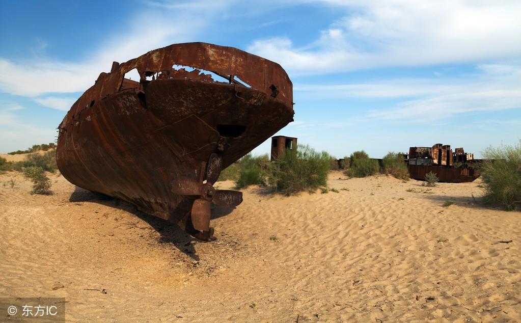 兵种战支的含义及其在现代战争中的重要性,兵种战支解析与现代战争中的关键作用
