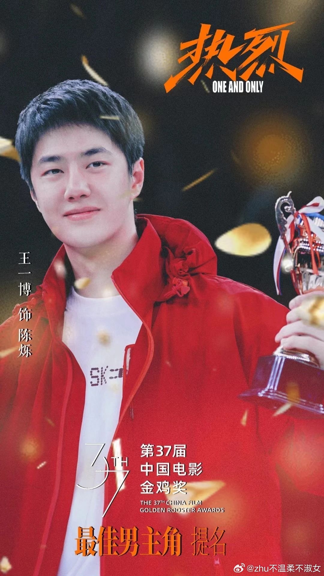 王中王一肖中特，探寻新时代背景下的独特魅力与价值（2020年观察报告），新时代背景下王中王一肖的独特魅力与价值（2020年观察报告）