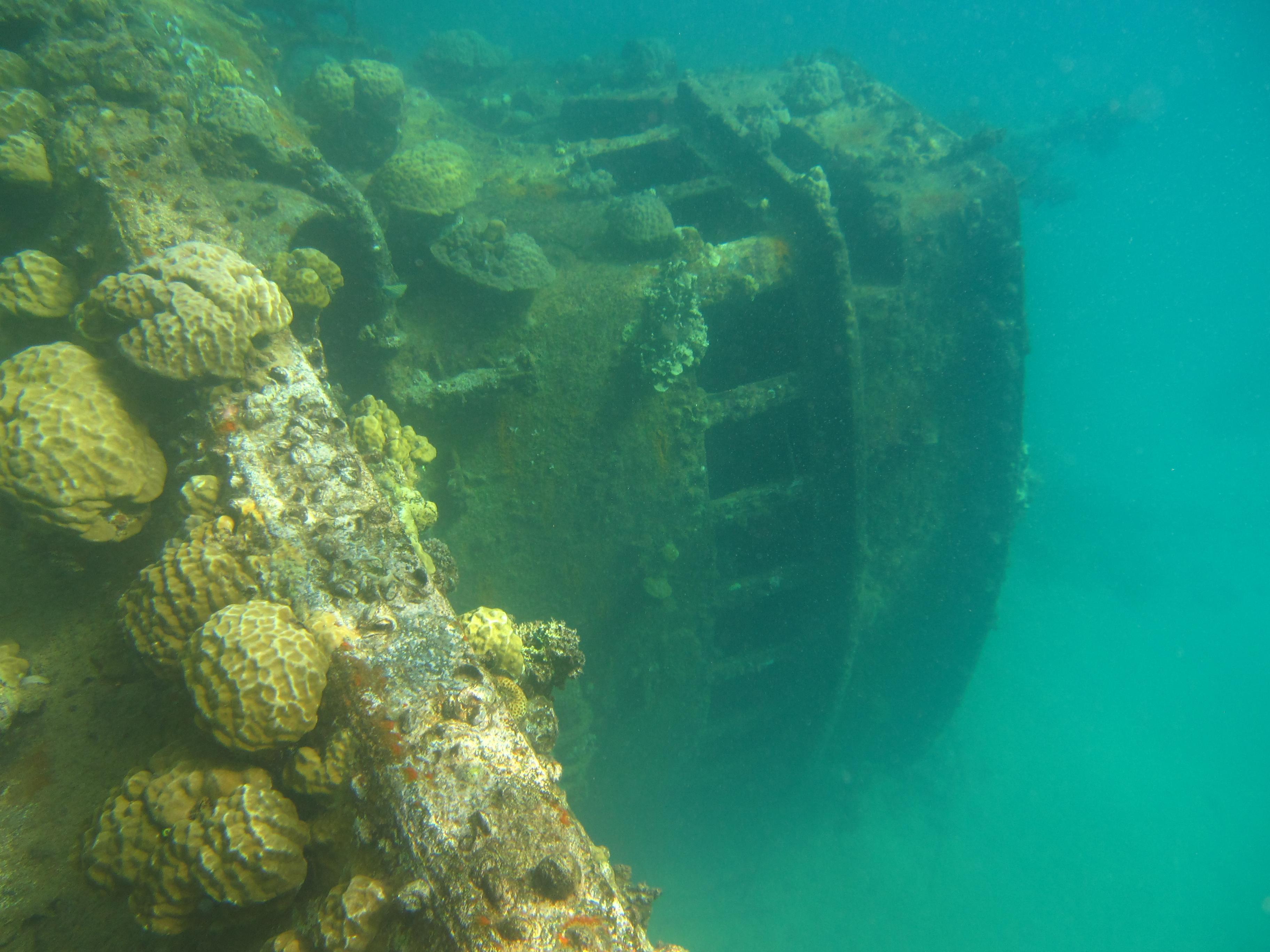 西太平洋，神秘而富饶的蓝色疆域，西太平洋，神秘富饶的蓝色海域