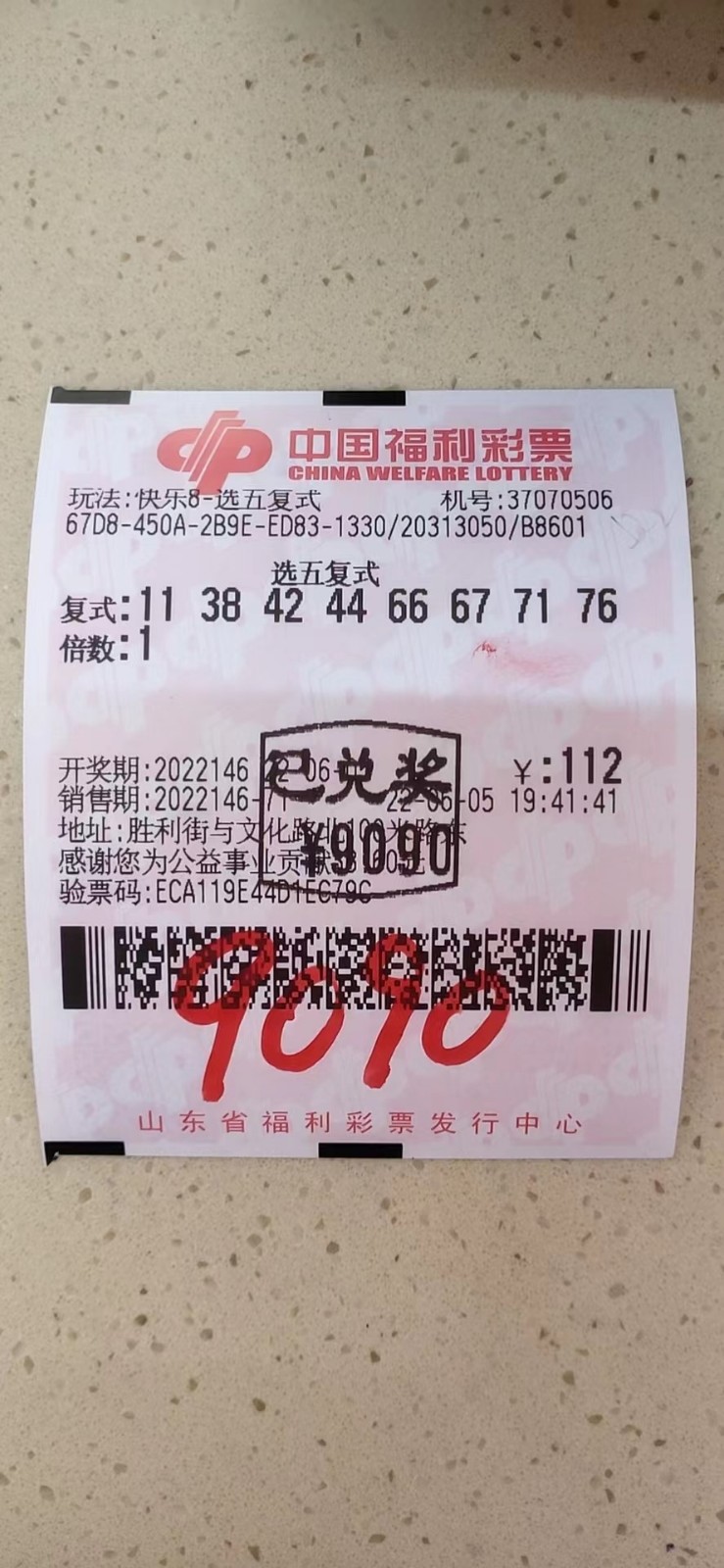 王中王平特一肖，两个幸运数字的碰撞，王中王平特一肖，两大幸运数字的奇妙交汇