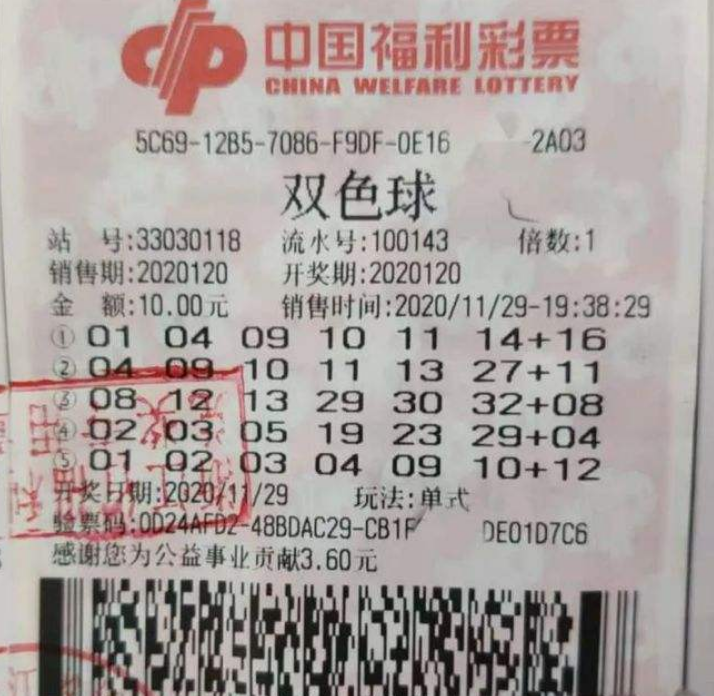 王中王平特一肖,两个幸运数字的碰撞,王中王平特一肖,两大幸运数字的奇妙交汇