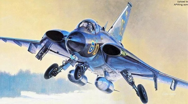 探索双三角翼,设计与性能的独特融合,双三角翼的独特设计与性能探索