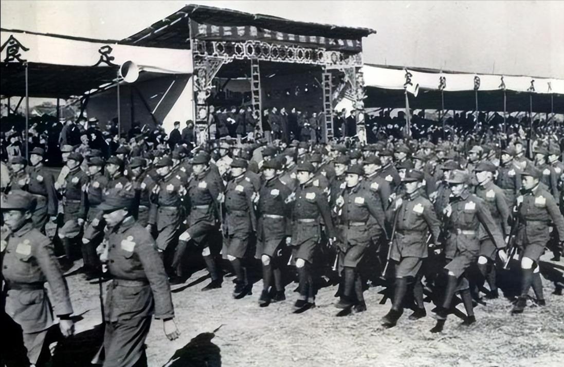 中国人民解放军军种与兵种的区别,中国人民解放军军种与兵种的区别解析