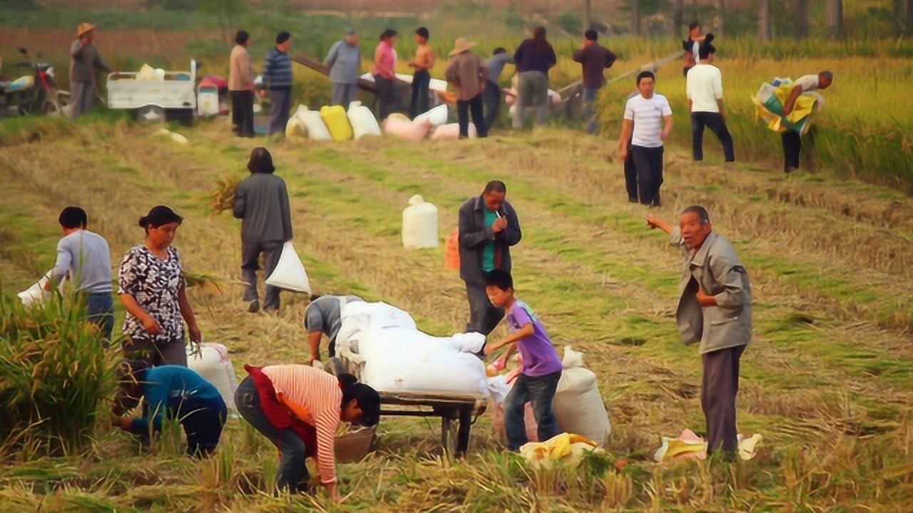 中央刚刚发布重大消息,开启新时代,引领新征程,中央发布重大消息,开启新时代新征程引领发展