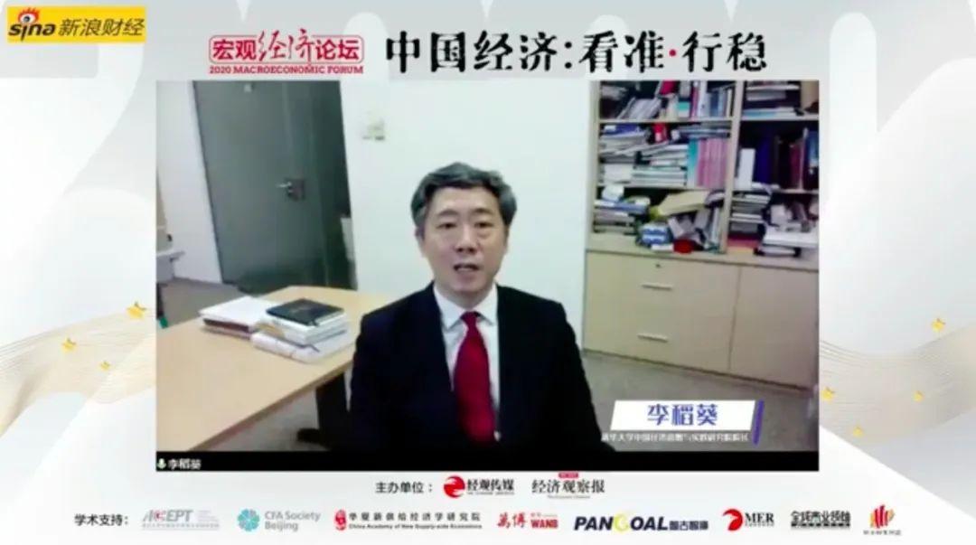 李稻葵与中国国际观察的洞察,李稻葵与中国国际观察的独到洞察