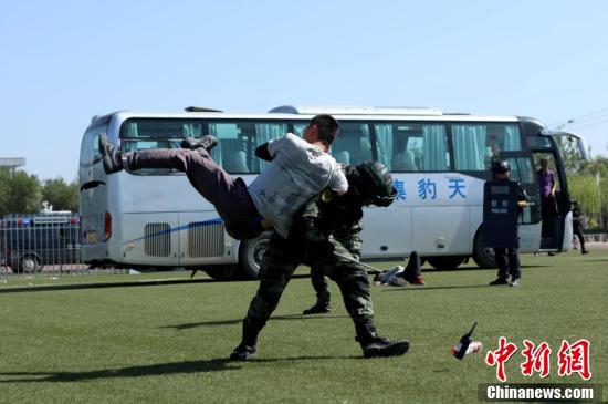 中国武装警察部队警种学院规模与影响力概述,中国武装警察部队警种学院规模与影响力概览
