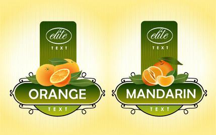 精准一肖,揭秘真相,100%免费预测的背后故事,揭秘真相,精准预测背后的故事,免费预测一肖的秘密