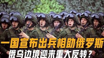 出兵援俄的国家数量及其影响分析,出兵援俄国家数量及其影响深度解析