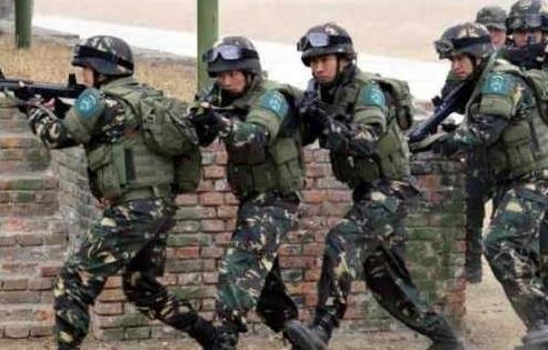 探究十四集团军后勤部部长的角色与职责,十四集团军后勤部部长角色与职责深度解析