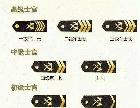 义务兵军衔等级排名，荣誉与责任的象征，义务兵军衔等级排名，荣誉与责任的标志