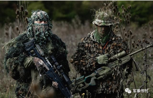 炎龙特种兵在中国军队中的排名探讨,炎龙特种兵在中国军队中的排名解析