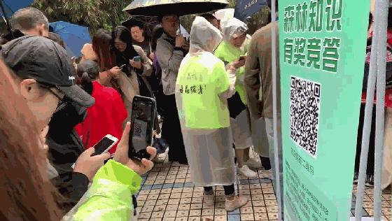 福州今天发生的重大新闻,福州今日重大新闻速递