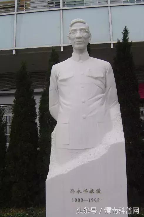 钱学森与共和国勋章,荣耀的见证,钱学森与共和国勋章,荣耀的辉煌见证