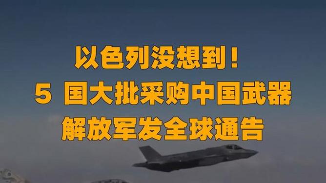解放军向全世界发布公告,新时代的和平使命与责任担当,解放军公告全球,新时代的和平使命与责任担当引领前行