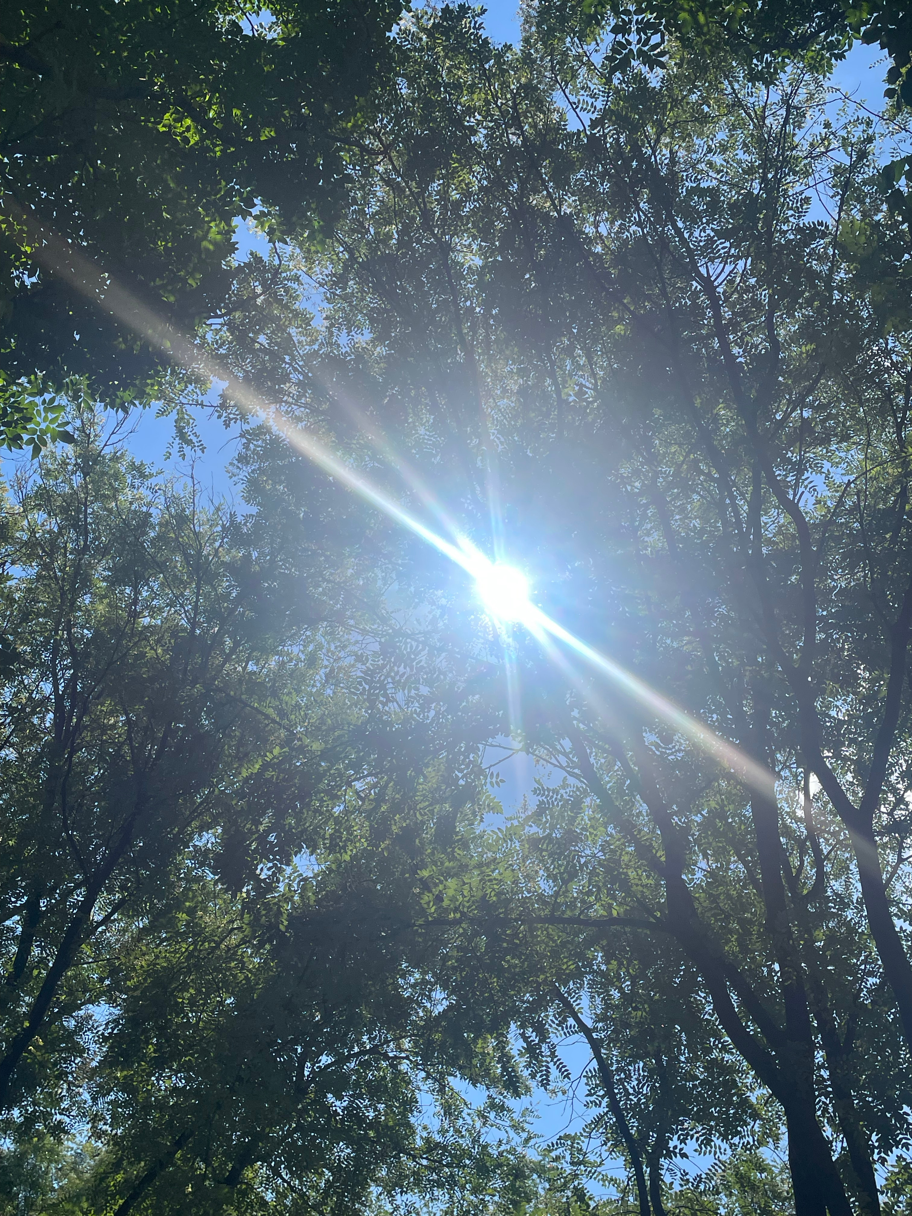 今天太阳很大,一种力量的启示,炽热日光下的启示之力