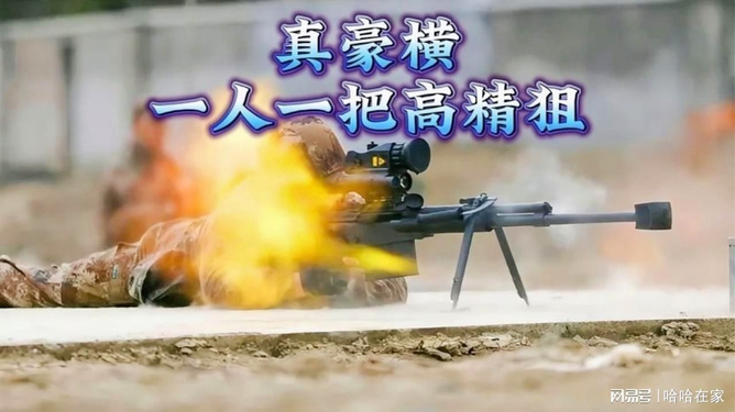 高精狙的起源与含义解析,高精狙的起源及含义深度解析