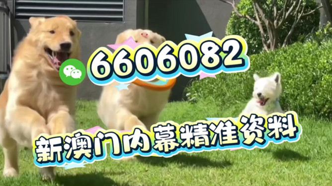 澳门必开一肖一特马,文化、历史与未来的交融,澳门必开一肖一特马,文化历史与未来的交融之旅