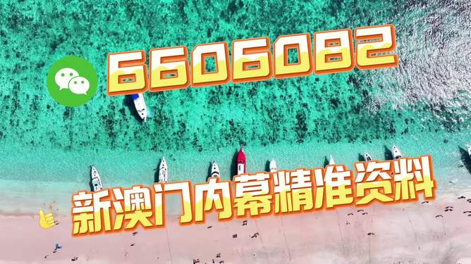 澳门必开一肖一特马,文化、历史与未来的交融,澳门必开一肖一特马,文化历史与未来的交融之旅