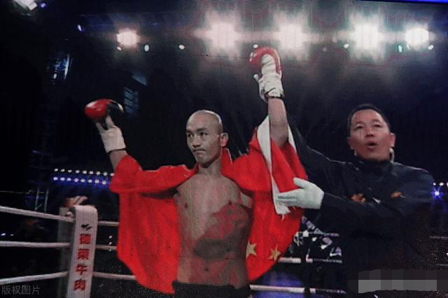 揭秘2469背后的秘密,一肖主博王中王传奇,揭秘数字背后的传奇,一肖主博王中王传奇揭秘。