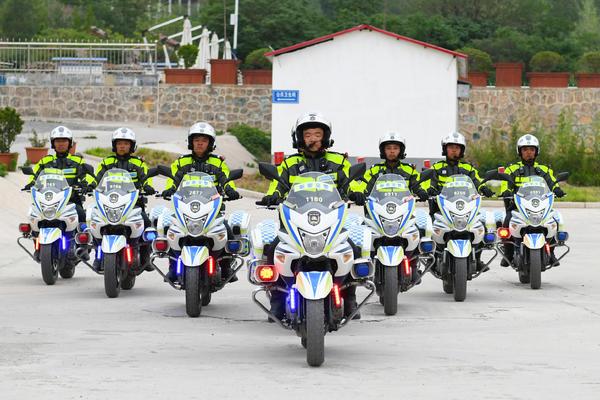 国宾护卫队摩托车,车型、价格及其背后的故事,国宾护卫队摩托车,车型、价格与背后的传奇故事