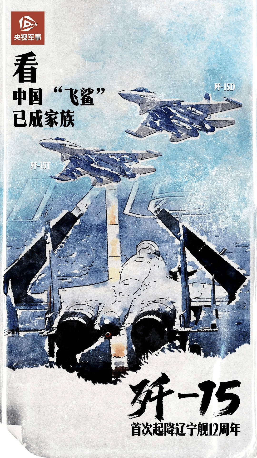 中国航母飞行员,英勇无畏的牺牲与壮烈的使命,中国航母飞行员,英勇使命与无畏牺牲