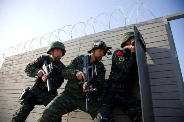 中国人民武装警察部队特种警察学院,是本科吗?,中国人民武装警察部队特种警察学院,是否为本科教育?