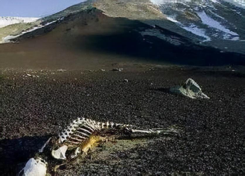 委内瑞拉魔鬼猎人学校,培养未来特种作战精英的摇篮,委内瑞拉魔鬼猎人学校,培育未来特种作战精英的摇篮