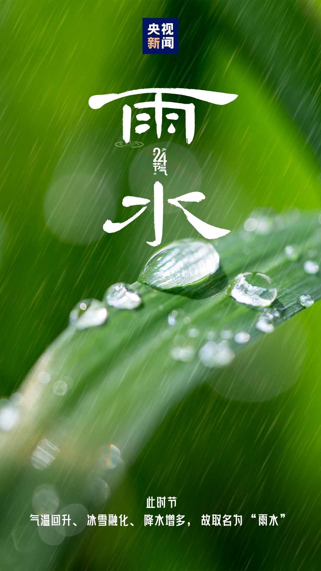 今日雨水图片,自然之美与情感的交融,今日雨水图片,自然之美与情感的完美交融