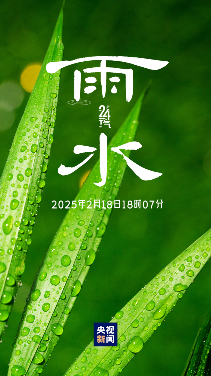 今日雨水图片,自然之美与情感的交融,今日雨水图片,自然之美与情感的完美交融