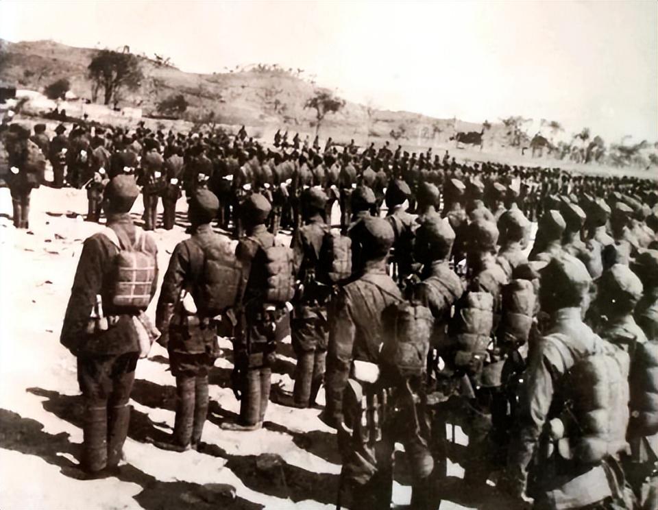 高平战役,双方伤亡人数深度解析,高平战役双方伤亡人数深度解析报告