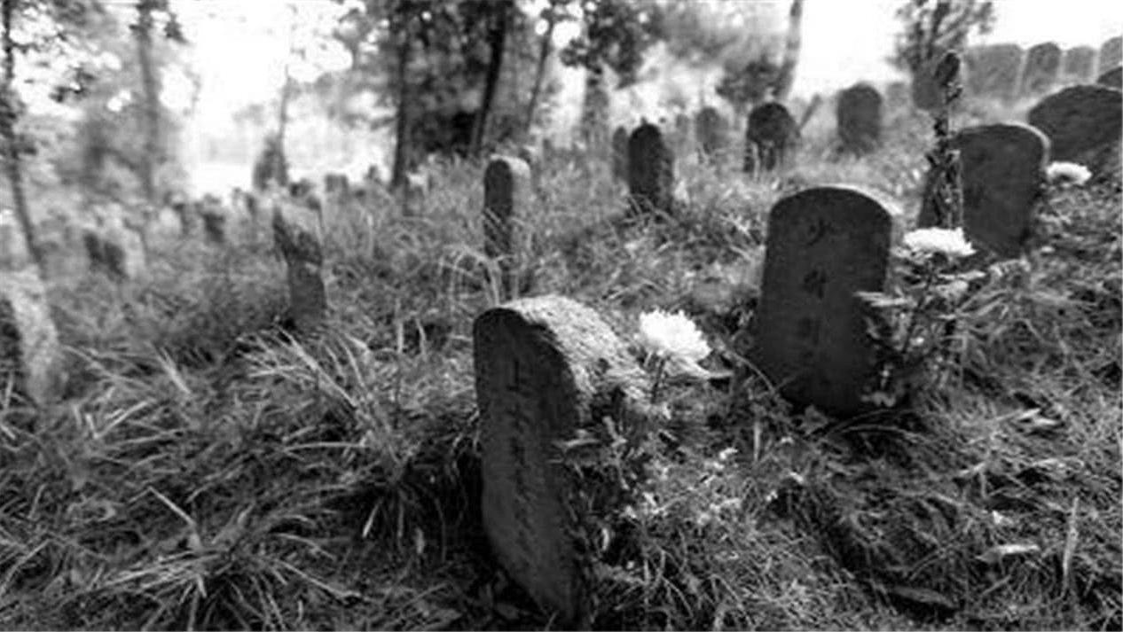 缅甸远征军师长揭秘,历史背景下的关键人物,缅甸远征军师长揭秘,历史背后的关键人物角色